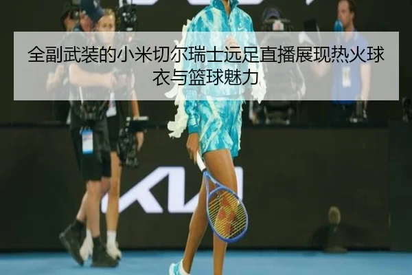 全副武装的小米切尔瑞士远足直播展现热火球衣与篮球魅力
